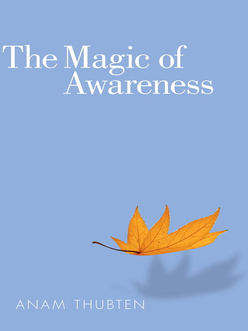 Title details for The Magic of Awareness by Anam Thubten - Wait list